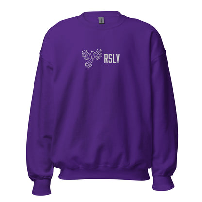 Sweatshirt Purple